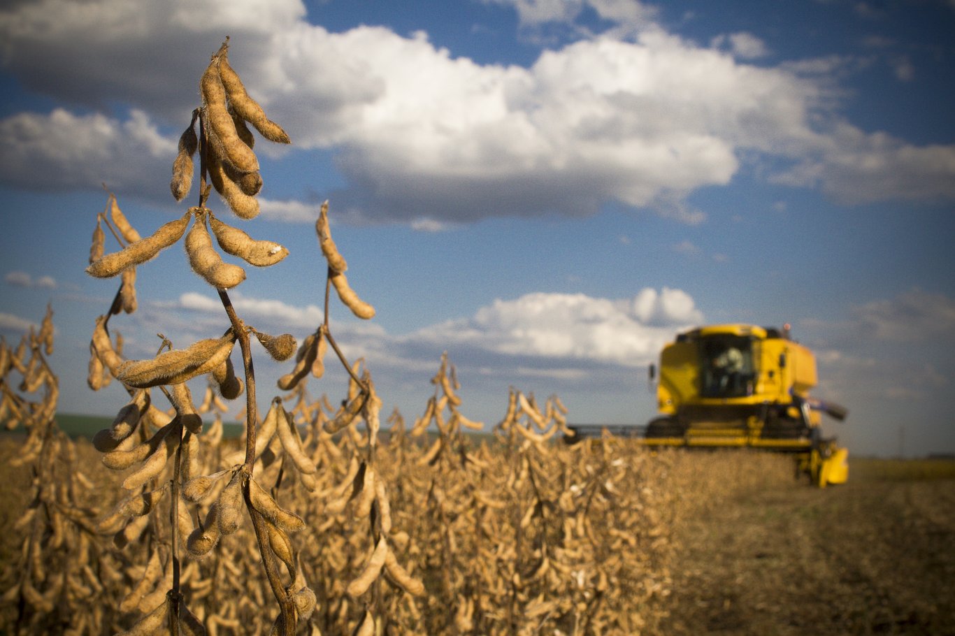 Ask an agronomist benefits of a timely soybean and corn harvest